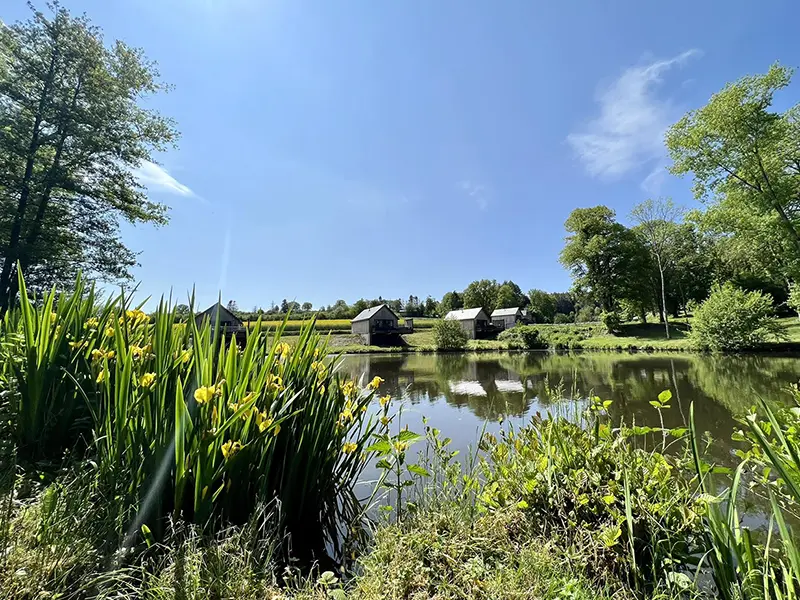 Les Pavillons de la Libellule - vue extérieure sur l'étang